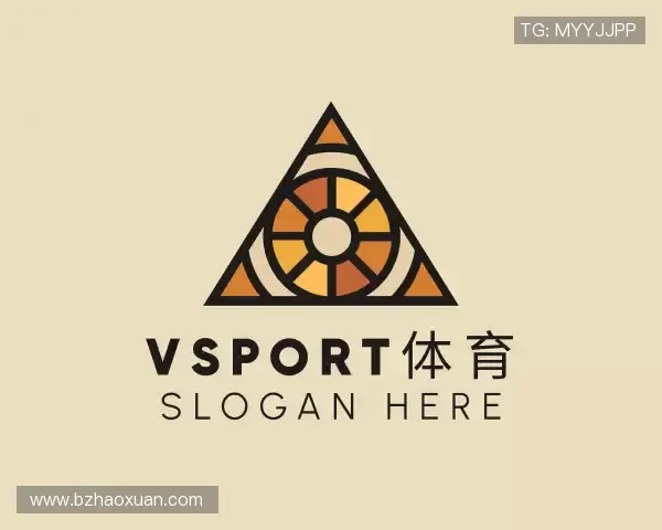 介绍vsport体育